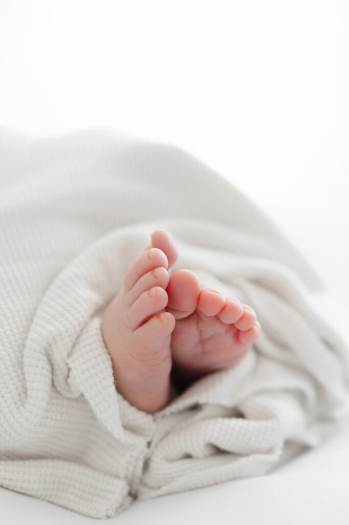 A close up photo of a newborn baby's feet during their newborn photography in grand forks.